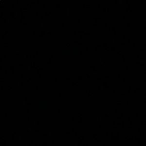 Meet your Posher, Araceli